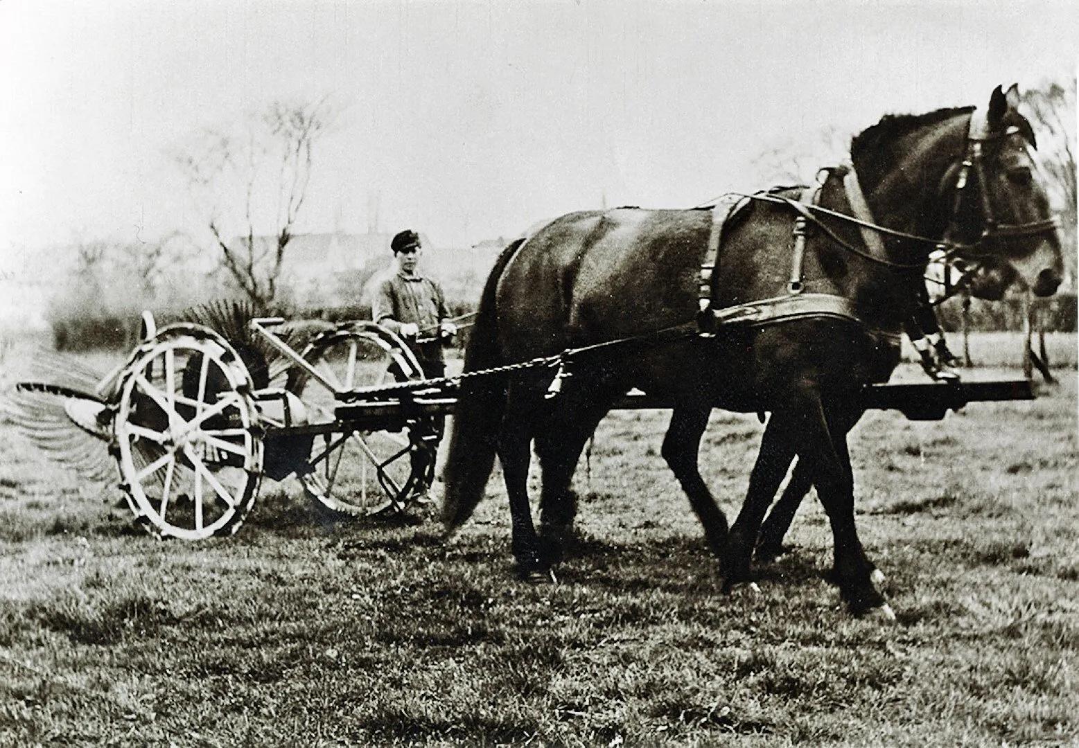 1947 - von Pferden gezogener Vorratsroder