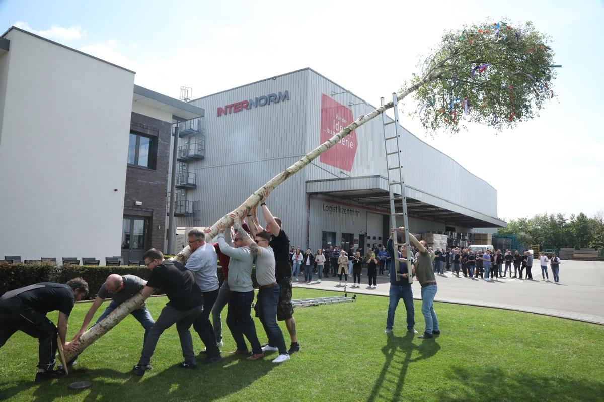 Maibaum setzen